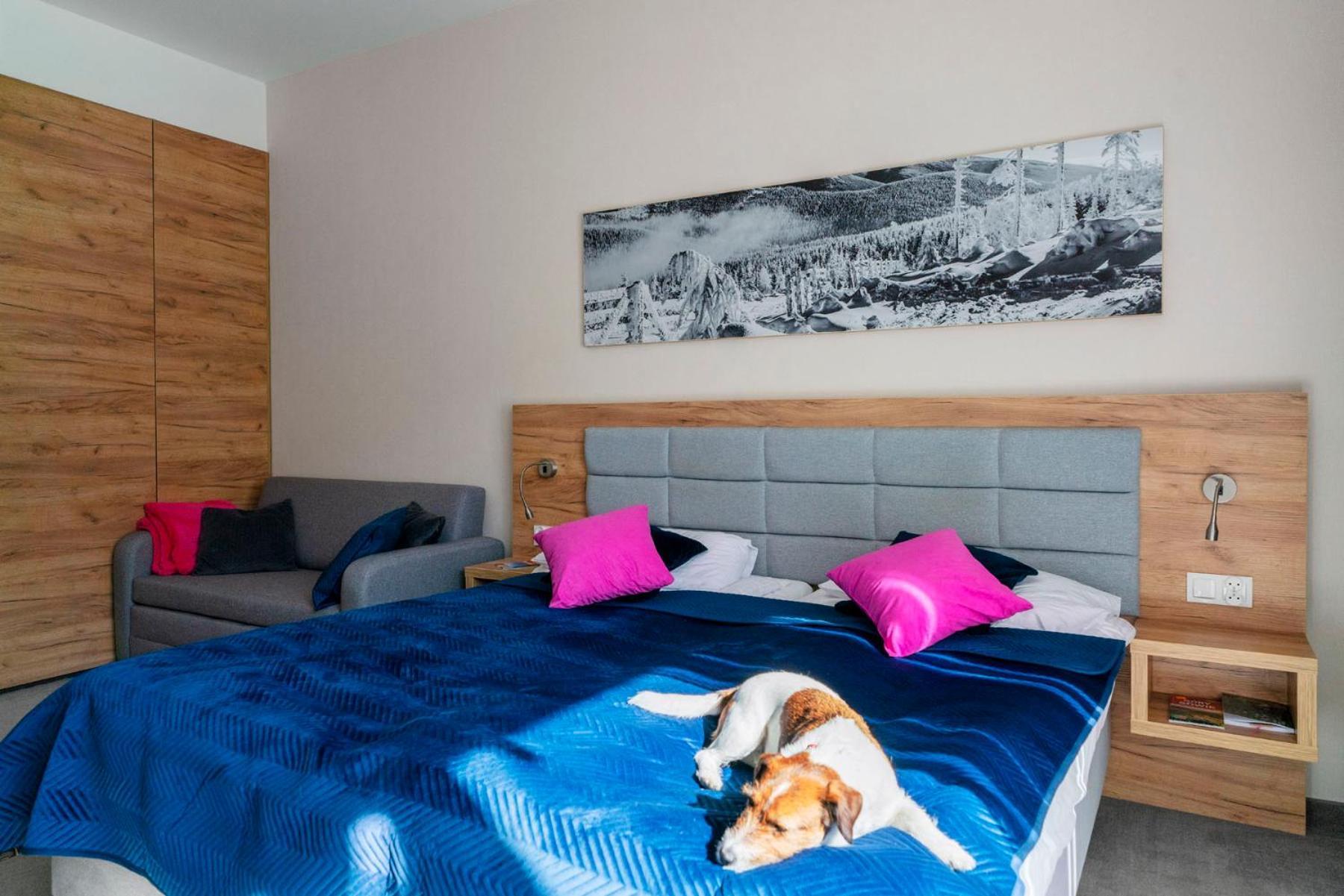 Apartament Folgaria - Aparthotel Panorama Czarna Gora シェンナ エクステリア 写真